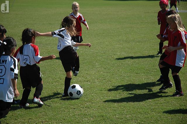 dsc_0342.jpg