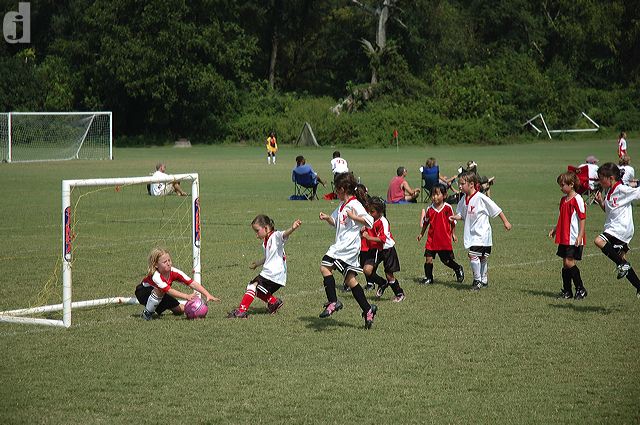 dsc_0818.jpg